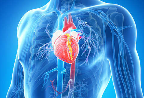 Innovative Implantable Devices: Pacemakers, Defibrillators, and Beyond